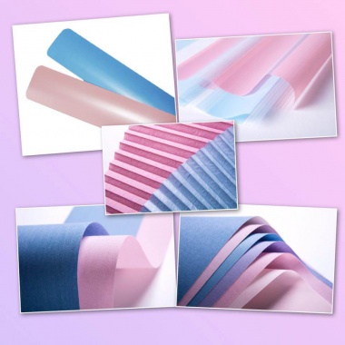 Kolory roku 2016 według Pantone